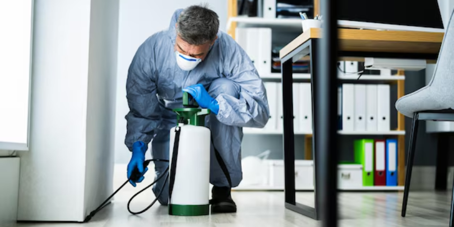 Договор с СЭС: почему цена — не главное, и как выбрать подрядчика, который не подставит вас перед Роспотребнадзором